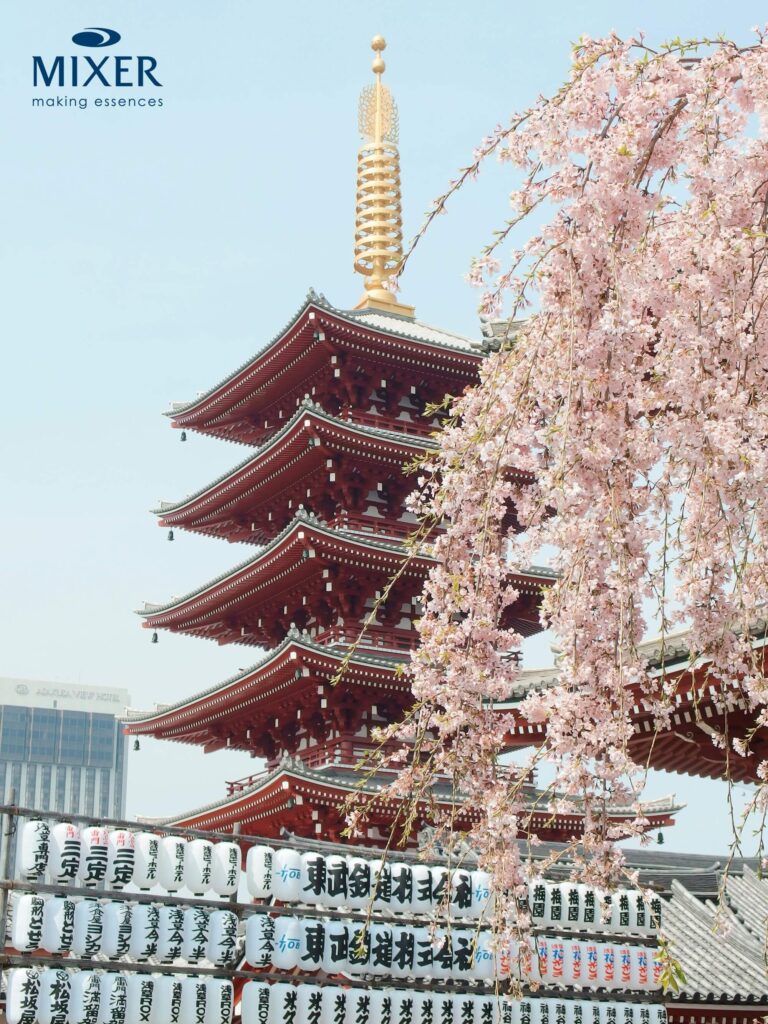 fragancias continente asiático